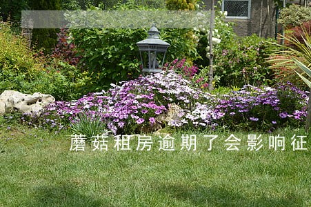 蘑菇租房逾期了会影响征信吗 蘑菇租房逾期了会影响征信吗