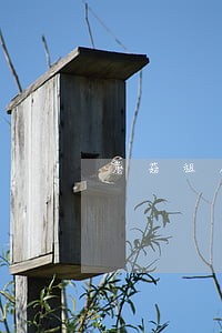蘑菇租房逾期多久会自动消除 蘑菇租房逾期多久会自动消除