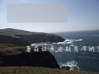 蘑菇租房逾期有滞纳金