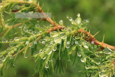 蘑菇街买呗逾期后果 蘑菇街买呗逾期后果
