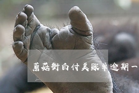 蘑菇街白付美账单逾期一天 蘑菇街白付美账单逾期一天