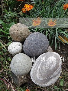 蘑菇街白付美逾期一般多久能消除