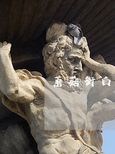 蘑菇街白付美逾期三年 蘑菇街白付美逾期三年