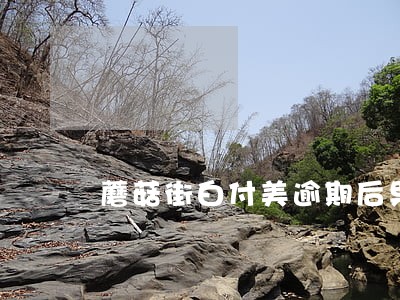 蘑菇街白付美逾期后果6 蘑菇街白付美逾期后果6