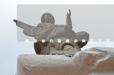 蘑菇街白富美逾期三个月后果 蘑菇街白富美逾期三个月后果