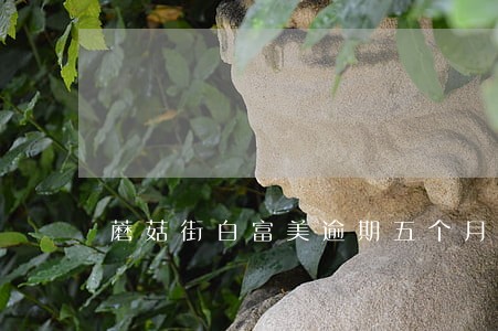 蘑菇街白富美逾期五个月 蘑菇街白富美逾期五个月