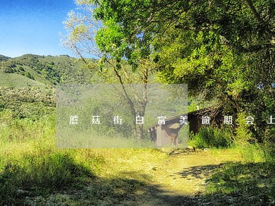蘑菇街白富美逾期会上门吗 蘑菇街白富美逾期会上门吗