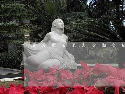 蘑菇街白富美逾期会被列为失信吗 蘑菇街白富美逾期会被列为失信吗