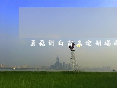 蘑菇街白富美逾期爆通讯录么 蘑菇街白富美逾期爆通讯录么