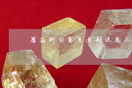 蘑菇街白富美逾期说要上门 蘑菇街白富美逾期说要上门