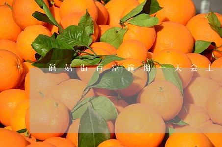 蘑菇街百富逾期一天会上征信吗 蘑菇街百富逾期一天会上征信吗