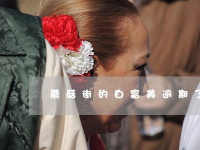 蘑菇街的白富美逾期了会上征信吗 蘑菇街的白富美逾期了会上征信吗