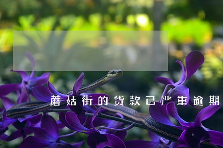 蘑菇街的货款已严重逾期 蘑菇街的货款已严重逾期