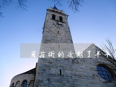 蘑菇街的逾期了半年会上门吗 蘑菇街的逾期了半年会上门吗