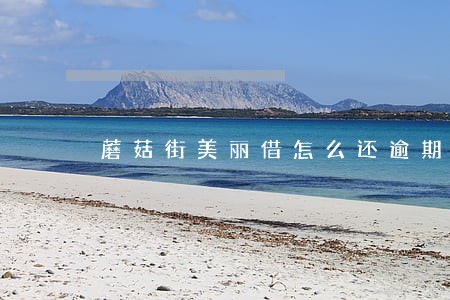 蘑菇街美丽借怎么还逾期账单 蘑菇街美丽借怎么还逾期账单