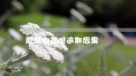 蘑菇街花呗逾期后果