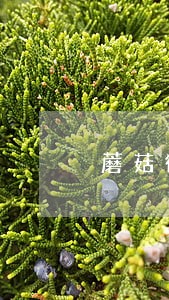 蘑菇街还款逾期被上传信息咋办 蘑菇街还款逾期被上传信息咋办