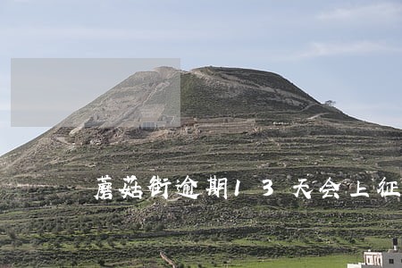 蘑菇街逾期13天会上征信吗 蘑菇街逾期13天会上征信吗