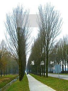 蘑菇街逾期1天就打电话
