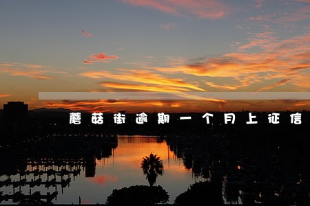 蘑菇街逾期一个月上征信不 蘑菇街逾期一个月上征信不