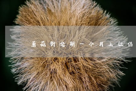 蘑菇街逾期一个月上征信吗 蘑菇街逾期一个月上征信吗