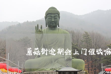 蘑菇街逾期会上门催收嘛 蘑菇街逾期会上门催收嘛