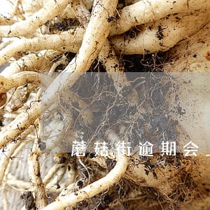 蘑菇街逾期会上门收款吗 蘑菇街逾期会上门收款吗