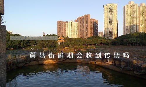 蘑菇街逾期会收到传票吗 蘑菇街逾期会收到传票吗