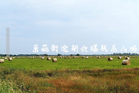 蘑菇街逾期会爆联系人吗