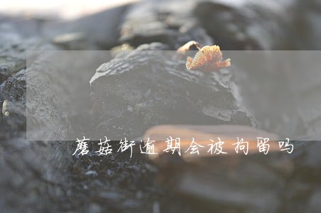 蘑菇街逾期会被拘留吗 蘑菇街逾期会被拘留吗