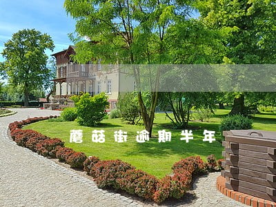 蘑菇街逾期半年 蘑菇街逾期半年