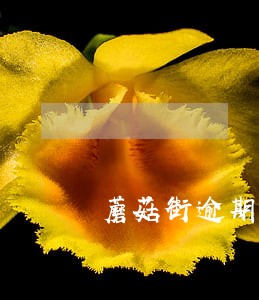 蘑菇街逾期半年多 蘑菇街逾期半年多