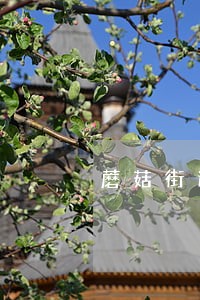 蘑菇街逾期协商减免 蘑菇街逾期协商减免