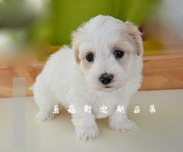 蘑菇街逾期后果 蘑菇街逾期后果