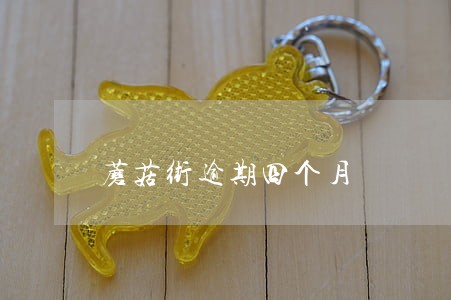 蘑菇街逾期四个月 蘑菇街逾期四个月
