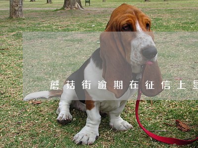 蘑菇街逾期在征信上显示吗 蘑菇街逾期在征信上显示吗