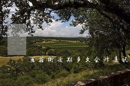 蘑菇街逾期多久会炸通讯录 蘑菇街逾期多久会炸通讯录