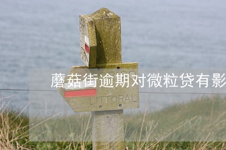 蘑菇街逾期对微粒贷有影响吗 蘑菇街逾期对微粒贷有影响吗