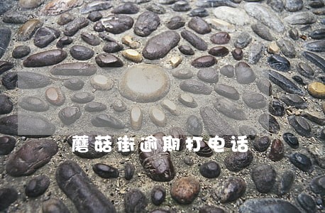 蘑菇街逾期打电话 蘑菇街逾期打电话