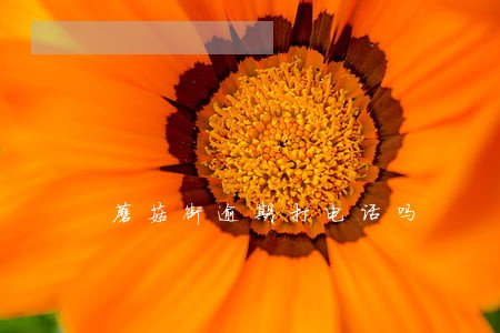 蘑菇街逾期打电话吗 蘑菇街逾期打电话吗