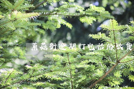 蘑菇街逾期打电话给收货人威胁 蘑菇街逾期打电话给收货人威胁