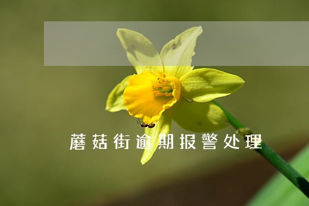 蘑菇街逾期报警处理 蘑菇街逾期报警处理