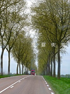 蘑菇街逾期给家人发短信 蘑菇街逾期给家人发短信