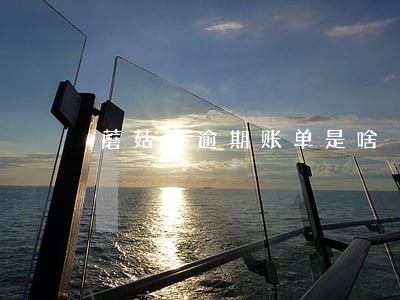 蘑菇街逾期账单是啥 蘑菇街逾期账单是啥