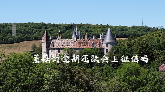 蘑菇街逾期还款会上征信吗 蘑菇街逾期还款会上征信吗
