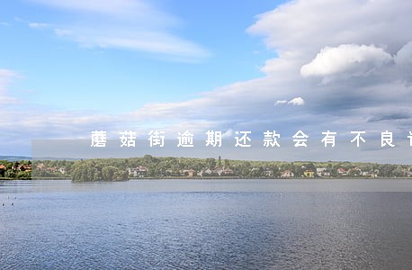蘑菇街逾期还款会有不良记录吗