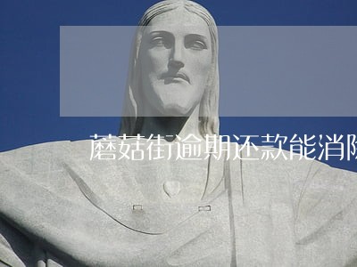 蘑菇街逾期还款能消除吗