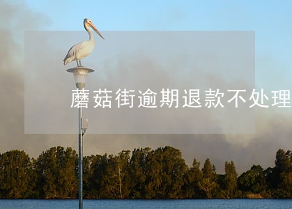 蘑菇街逾期退款不处理 蘑菇街逾期退款不处理