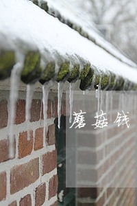 蘑菇钱包可以逾期几天 蘑菇钱包可以逾期几天