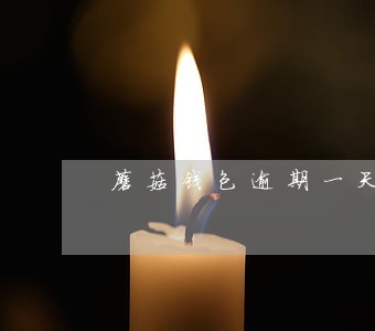 蘑菇钱包逾期一天催收 蘑菇钱包逾期一天催收